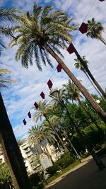 Palm trees against cloudy sky