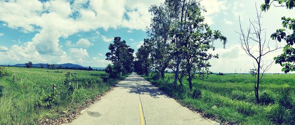 Road amidst trees on field against sky