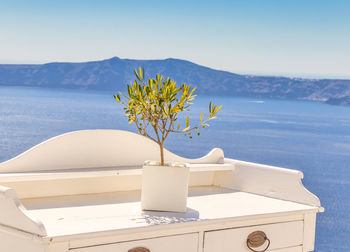 White flowers in vase on table by sea against sky