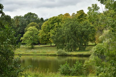 Scenic view of lake by trees against sky