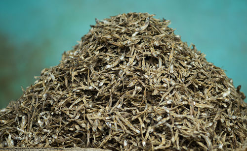 A large pile of dried anchovy fish sold in the market. indonesia.