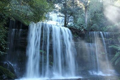 Waterfall in forest