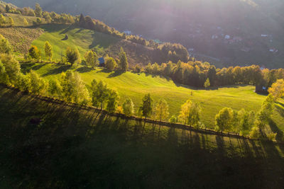 Scenic view of rural landscape