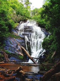 Scenic view of waterfall in forest