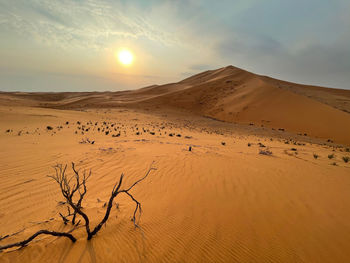 Scenic view of desert against sky during sunset