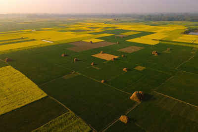 High angle view of agricultural field