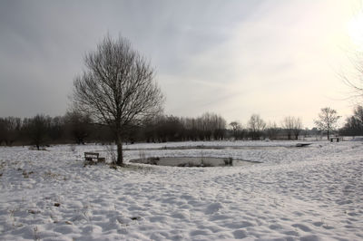 Bare trees on snow covered field against sky