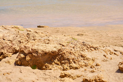 Scenic view of beach