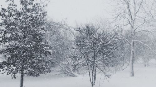 Scenic view of snow covered field