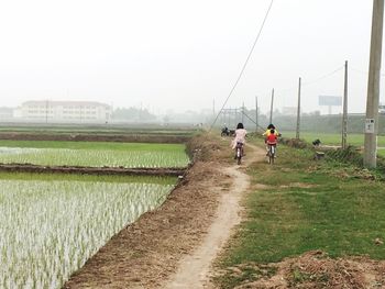 People walking on grassy field