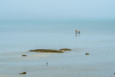 Scenic view of sea and beach against sky during monsoon