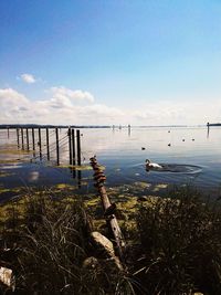 Scenic view of lake against sky