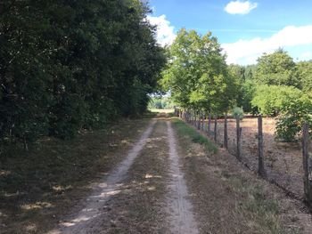 Empty road with trees in background