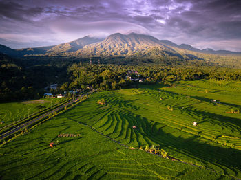 Scenic view of agricultural field against sky