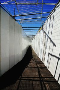 Low angle view of bridge in greenhouse