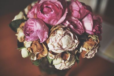 Close-up of flowers