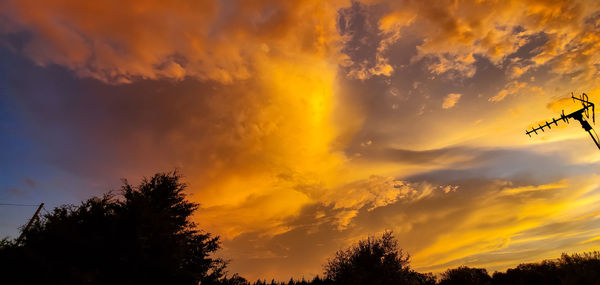 Low angle view of silhouette trees against orange sky