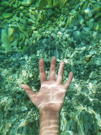 Close-up of hand undersea