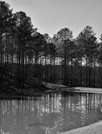 Scenic view of lake in forest against sky