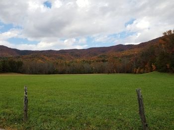 Scenic view of field against sky