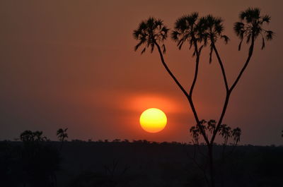 Silhouette trees against sky during sunset