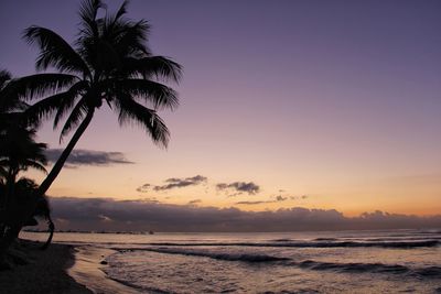Silhouette palm trees on beach against sky at sunset