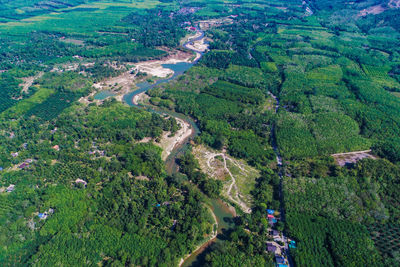 High angle view of road amidst trees on field