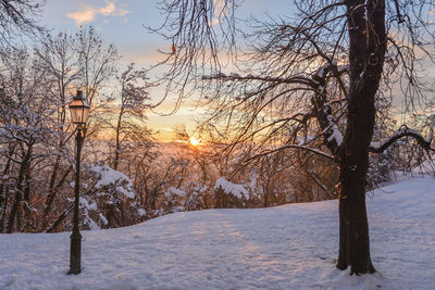 Bare trees on snow covered landscape during sunset