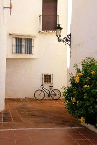 Bicycle against wall of building