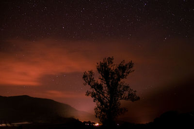 Low angle view of silhouette trees against sky at night