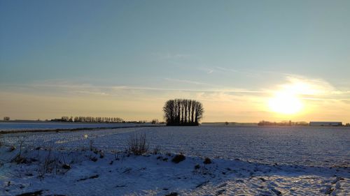Scenic view of snow covered field against sky during sunset