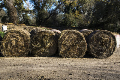 Stack of hay bales on field