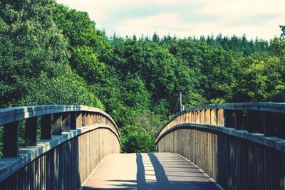 Footbridge amidst trees