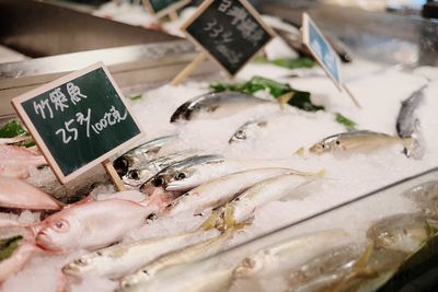 Close-up of various fish for sale in market