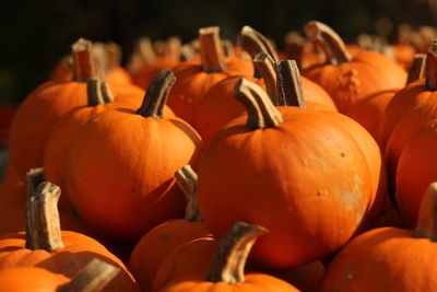 Close-up of pumpkin pumpkins