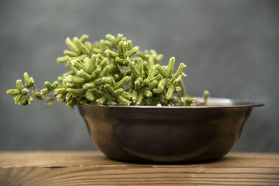 Close-up of potted plant on table