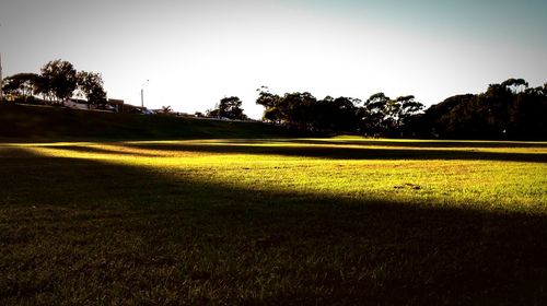 Scenic view of grassy field against sky