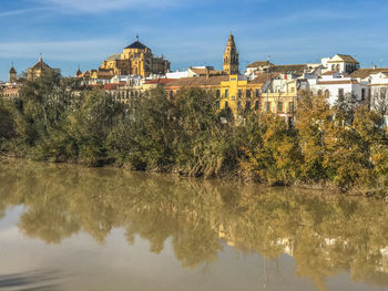 Reflection of trees and buildings on lake