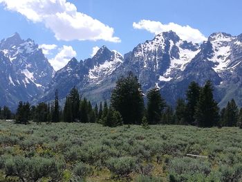 Scenic view of snowcapped mountains against sky