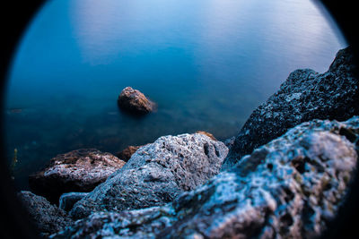 Close-up of turtle on rock in sea