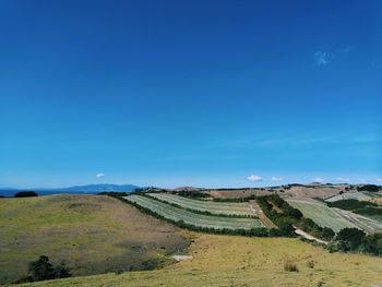 Scenic view of landscape against blue sky