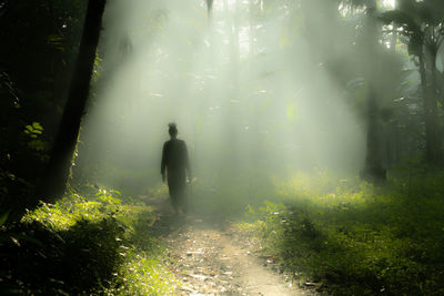 Rear view of woman walking on street amidst trees in forest