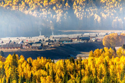 View of house in forest during autumn