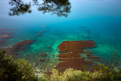 High angle view of sea and trees against blue sky