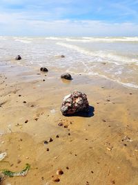 Scenic view of rocks on beach against sky