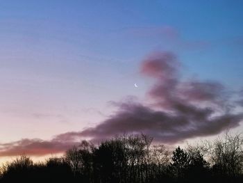 Low angle view of silhouette trees against sky at dusk