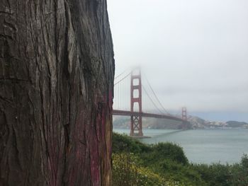 San francisco bridge