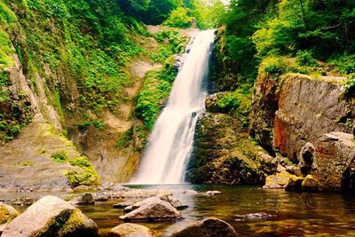 Scenic view of waterfall in forest