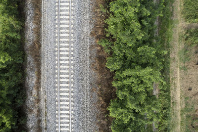 High angle view of road amidst plants