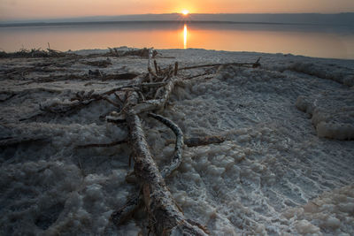 Scenic view of sea during sunset